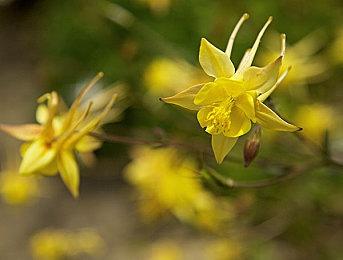 Phil Spencer：在“抵制文化”中坚持自我真的很不容易